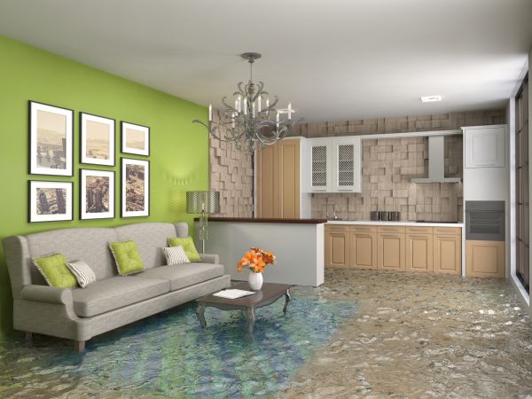Wet Carpet Drying in Lakeville