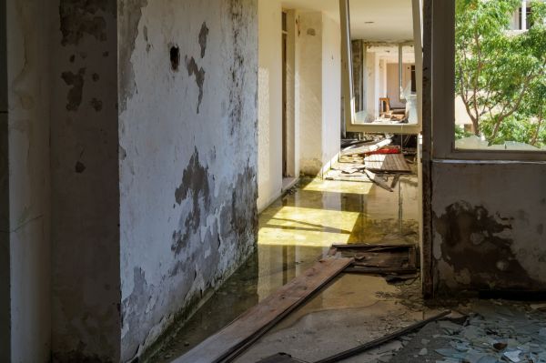Water Removal Service in Lakeville