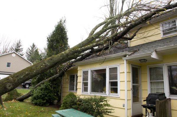 Hurricane Damage Repair in Lakeville